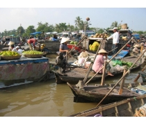One Day Mekong Delta Tour (Cai Be - Vinh Long)